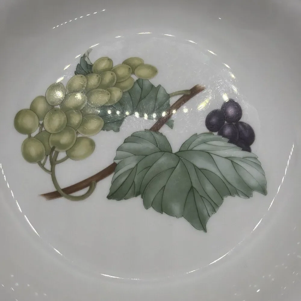 SET OF 12 Noritake Casual Gourmet, GOURMET HARVEST 7 3/8